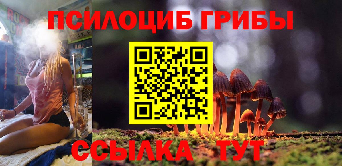 цена   Вход с VPN  Псилоцибиновые грибы мухоморы  Карпинск  Псилоцибиновые грибы Cubensis 